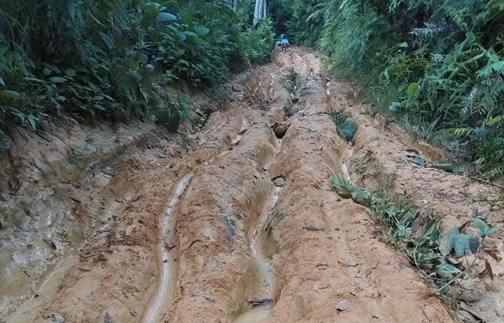 LAPORAN KONDISI INFRASTRUKTUR: Jalan Desa Nek Sawak Rusak Parah, Warga Keluhkan Akses Terhambat