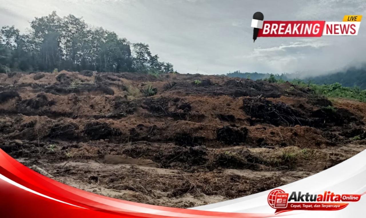 Warga Desak Aparat Bertindak, Aktivitas PT CUT Diduga Garap Lahan Warga Hingga Kawasan Hutan Lindung