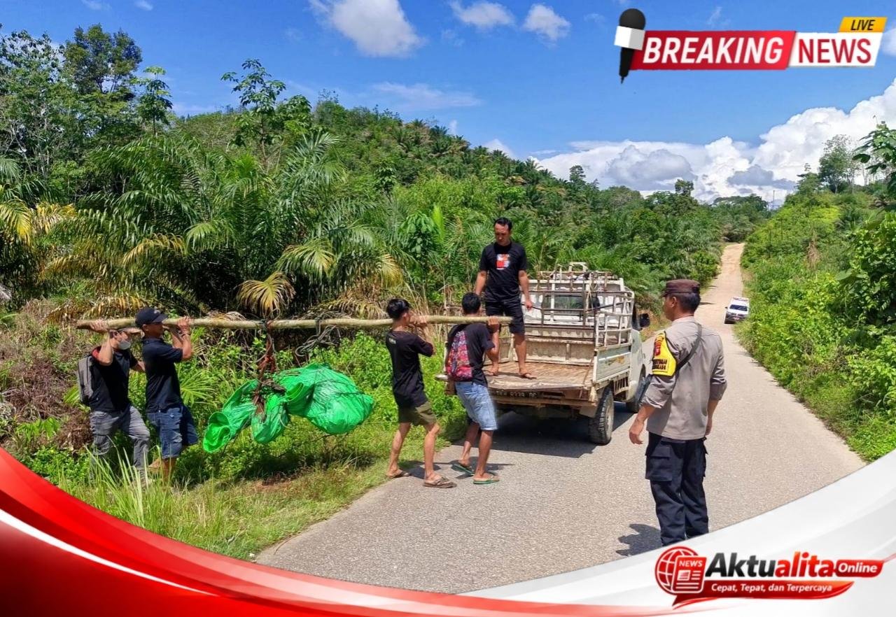 Warga Jangkang Digegerkan Penemuan Mayat Lansia di Sungai Remoncok