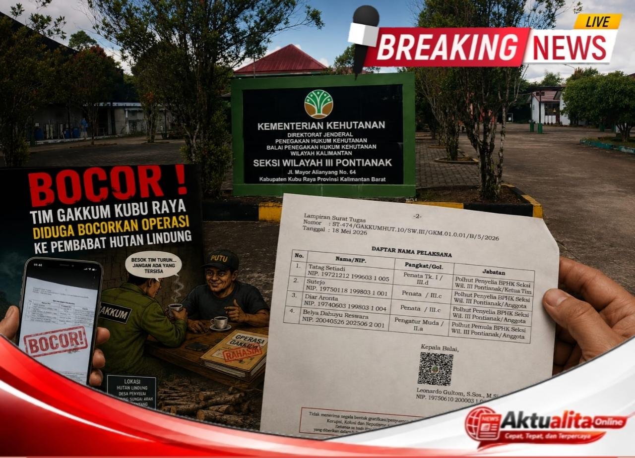 Skandal Dugaan Kebocoran Operasi SPORC Menguat, Jejak Mafia Kayu di Hutan Terentang Dipertanyakan