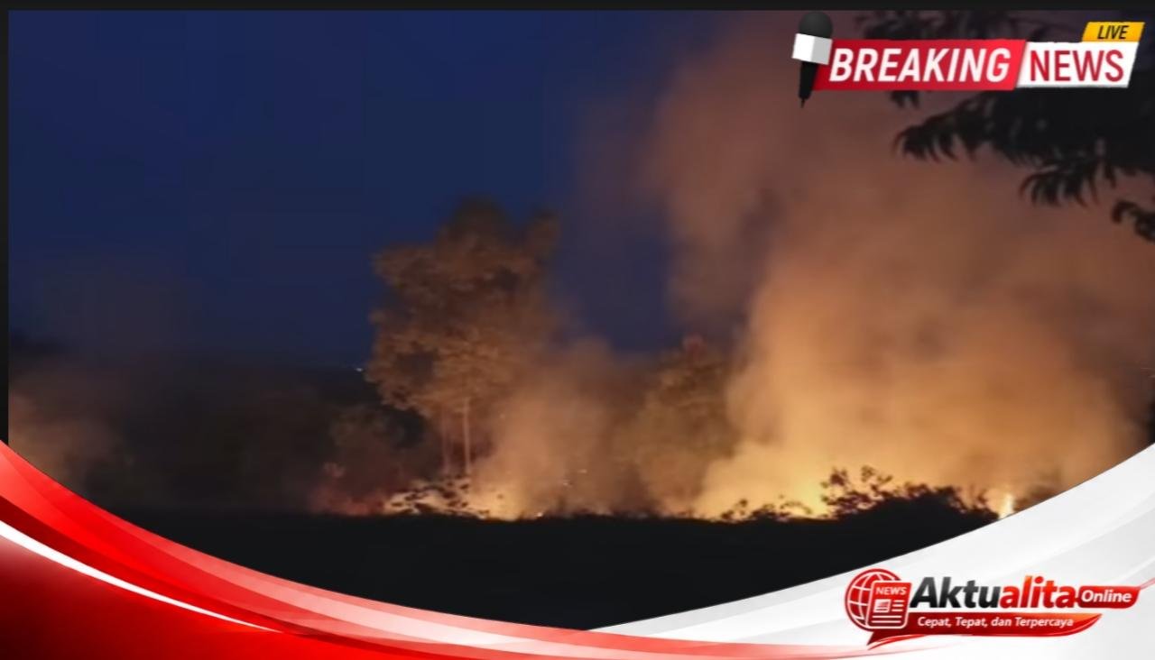 Karhutla Kembali Terjadi di Sabang Merah Sanggau, Kepulan Asap Tebal Gegerkan Warga