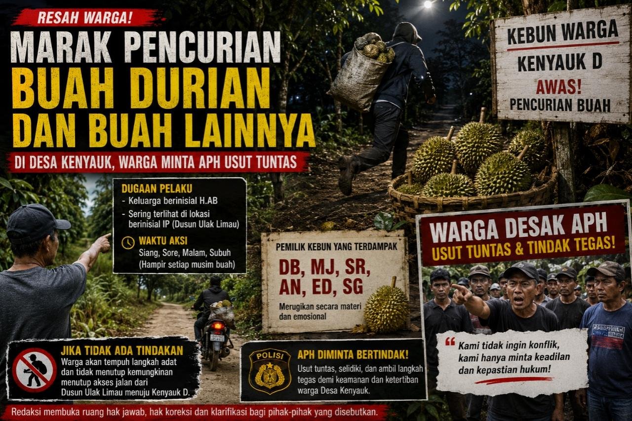 Marak Pencurian Durian di Desa Kenyauk, Warga Desak APH Bertindak Tegas
